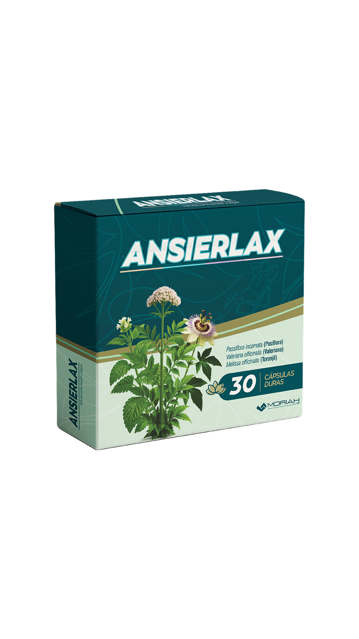 Ansierlax